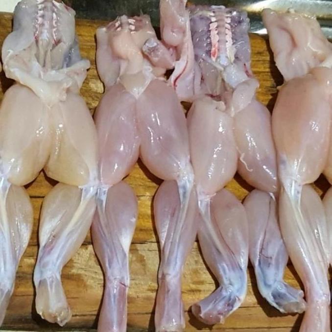 kodok swike daging 1kg