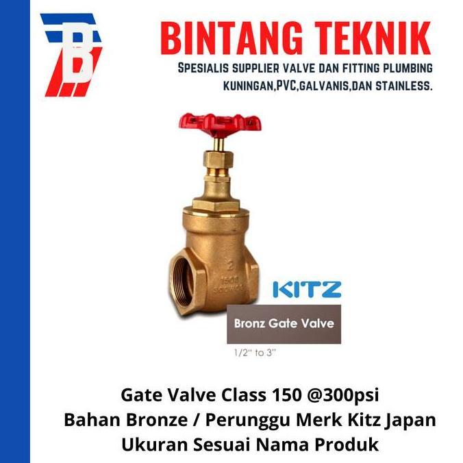 Gate Valve 3/4" inch Bronze Kitz Class #150