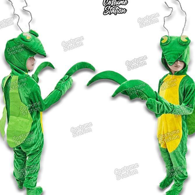 Kostum Onesie Praying Mantis / Costume Belalang Sembah Serangga Hewan Binatang Animal anak