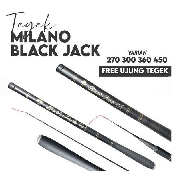 Joran Pole/Tegek Milano Black Jack 450