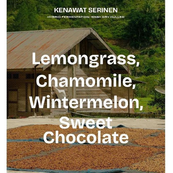 Ready Aceh Gayo Kenawat Serinen