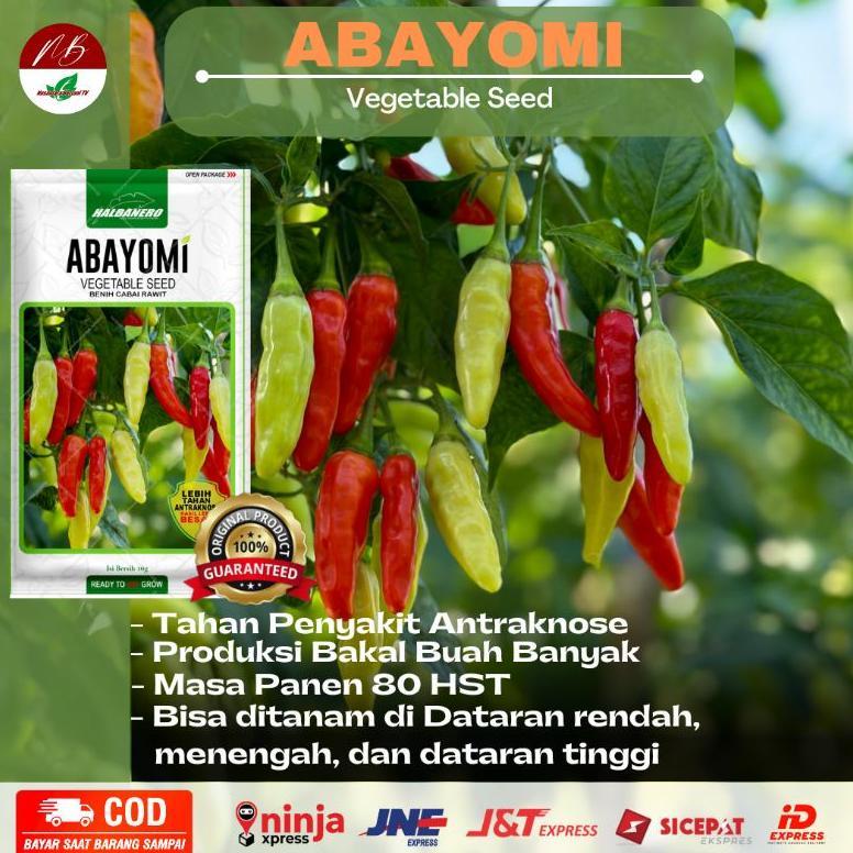 Benih Cabai Rawit Abayomi 10gr CABAI UNGGULAN TERBAIK tersedia juga ( kaliber viral absolut langgeng