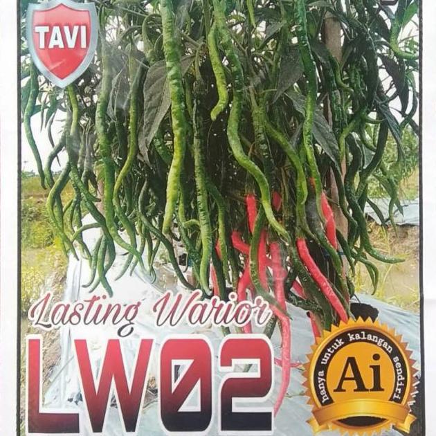Benih Cabe inbred Tangguh LW 02 (bisa COD)