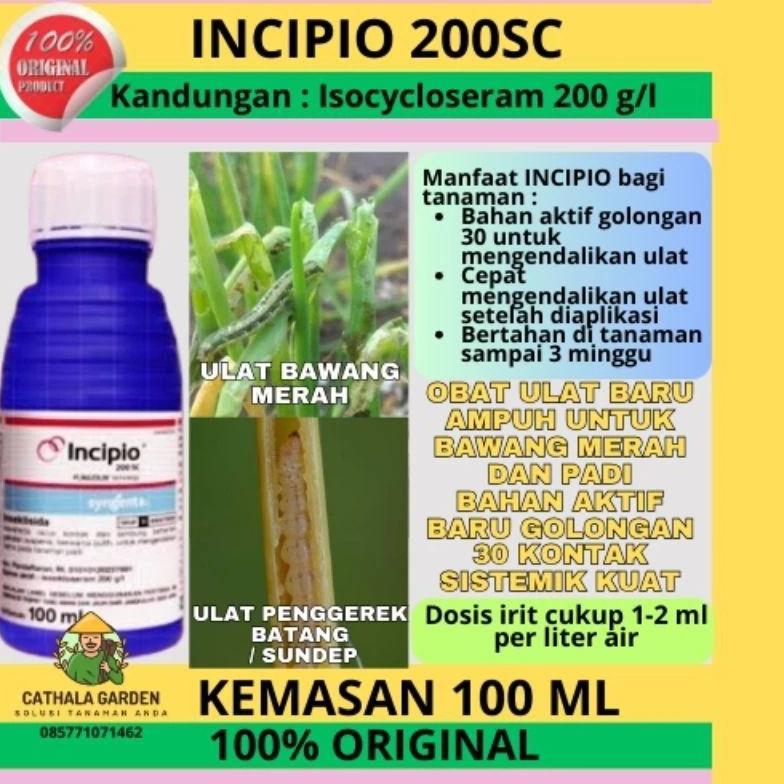 insektisida INCIPIO 200SC, kemasan 100 ml. SYNGENTA ( ulat, kutu)