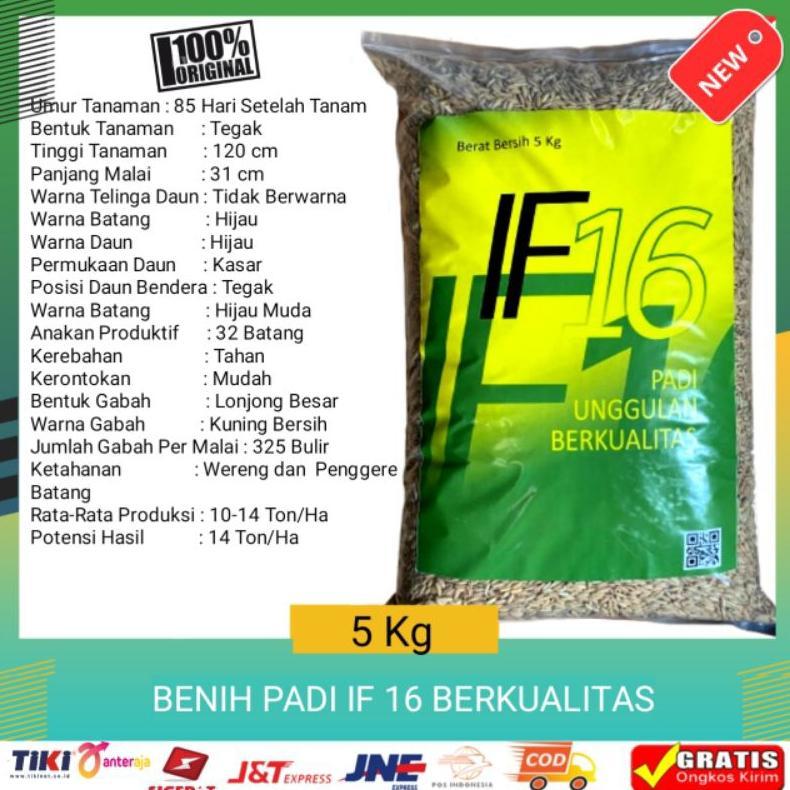 Bisa Cod Benih Bibit Padi Unggul If 16 5Kg Berkualitas >>