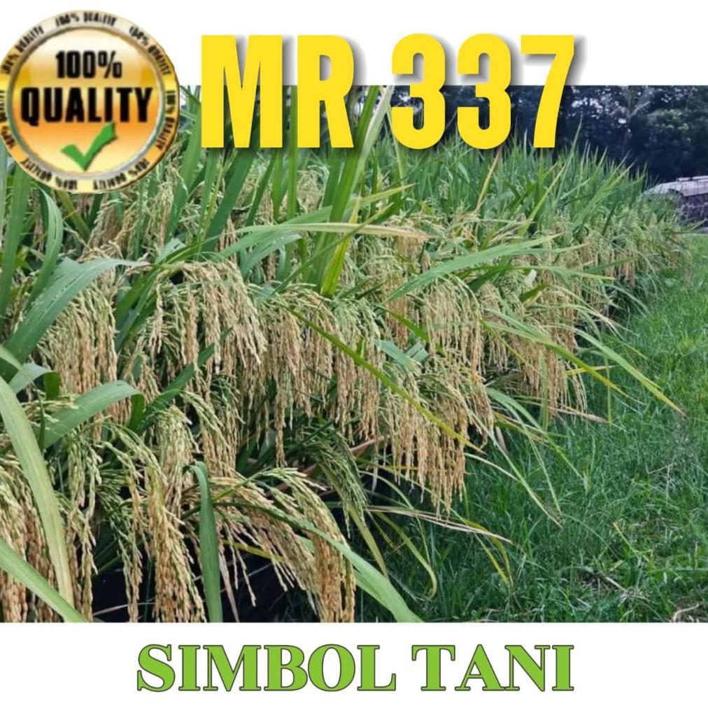 Bisa Cod Benih Padi Mr 337/ Mr337 Kemasan 5Kg >>