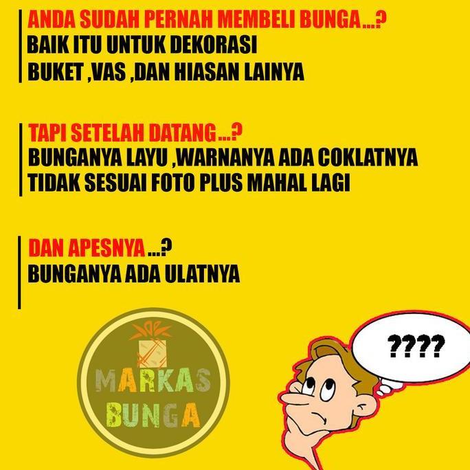 Flowbty- Bunga Tulip Segar Asli / Tulip Bunga Segar Asli