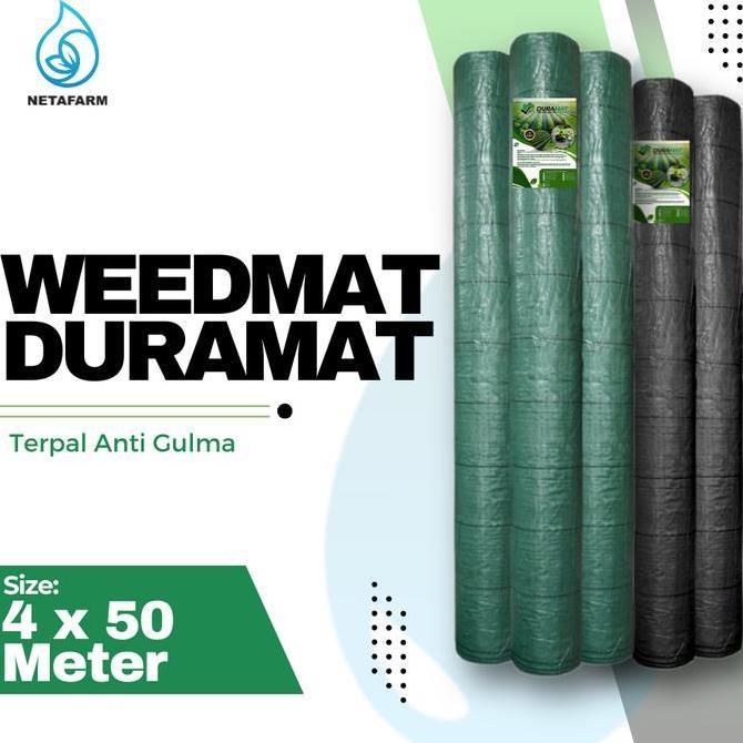 =+=+=+] WEEDMAT DURAMAT-SP TAK 4X50 - 1 roll