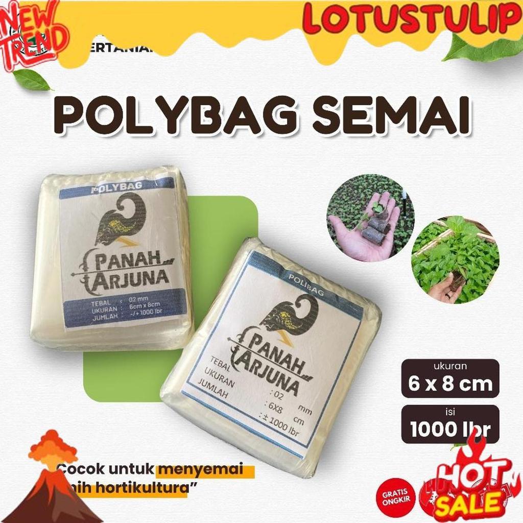 POLYBAG SEMAI CABE / POLYBAG SEMAI BENIH / POLIBAG / POLYBAG PEMBIBITAN - 6X8 CM ISI 1000 LEMBAR Top