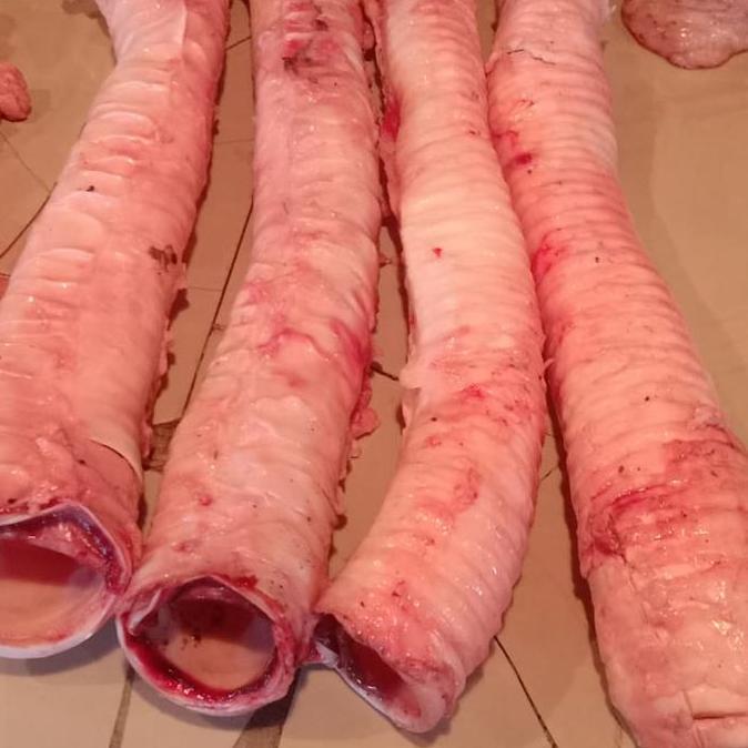 TERLARIS tenggorokan sapi 1 kg BISA GOSEND