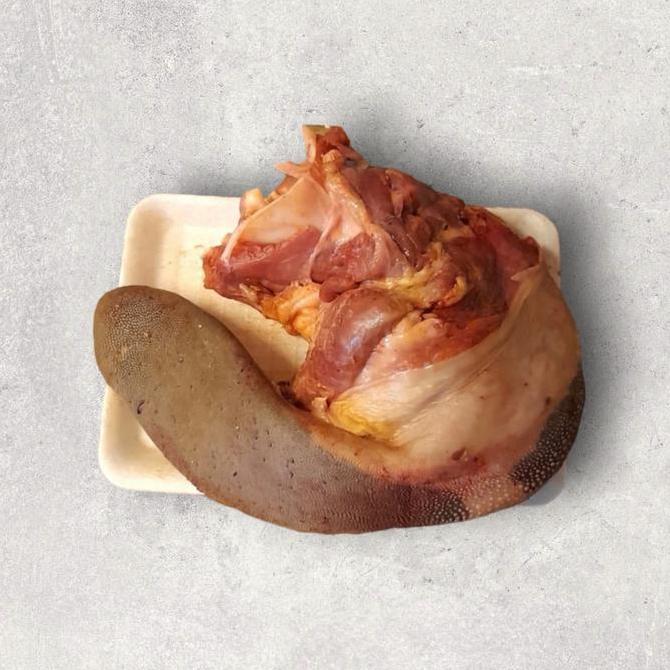 Lidah sapi lokal tongue