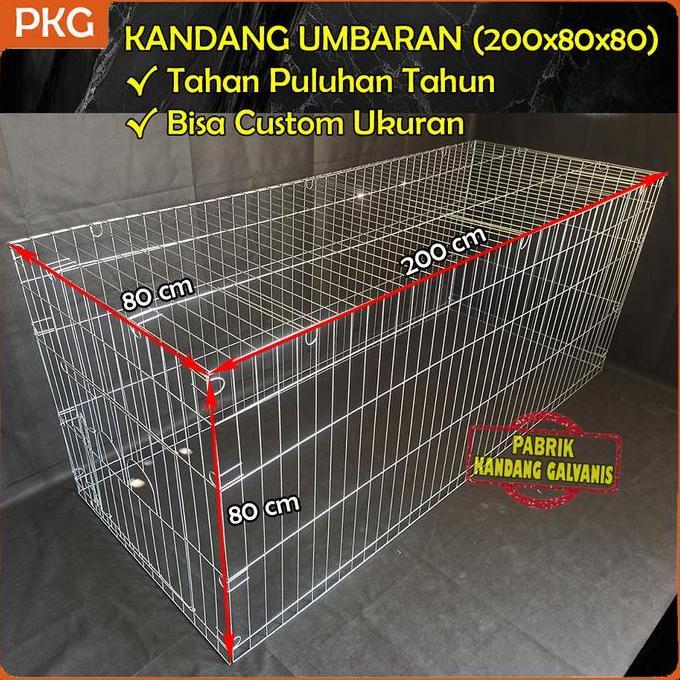 Kandang Umbaran Galvanis Besar 200cm Untuk Ayam Jago Bangkok, Kurungan Umbaran Jumbo 2 Meter Murah