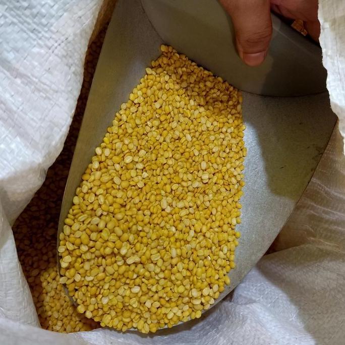 Kacang Hijau Ijo Kupas 1KG 1000 G Gram Import Kualitas Grade A
