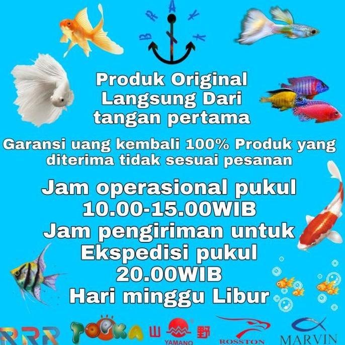 Filter Pompa Komplit Top Filter Box Aquarium 3 In 1 SP 1200 Garansi