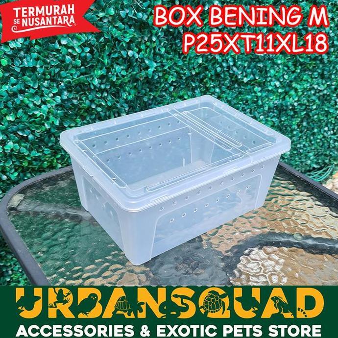 BOX BENING M 25X11X18 KANDANG PACMAN ULAR BALL PHYTON RETIC KADAL