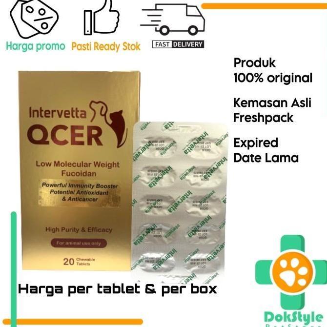 Intervetta qcer obat tablet kanker tumor anjing kucing