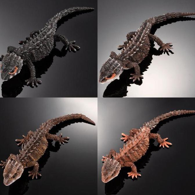 IKIMONO Tribolonotus / Crocodile skink