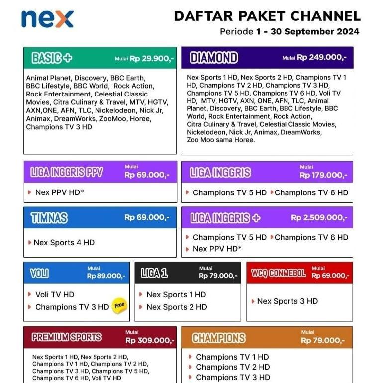 Paket Nex Parabola BASIC 1 tahun