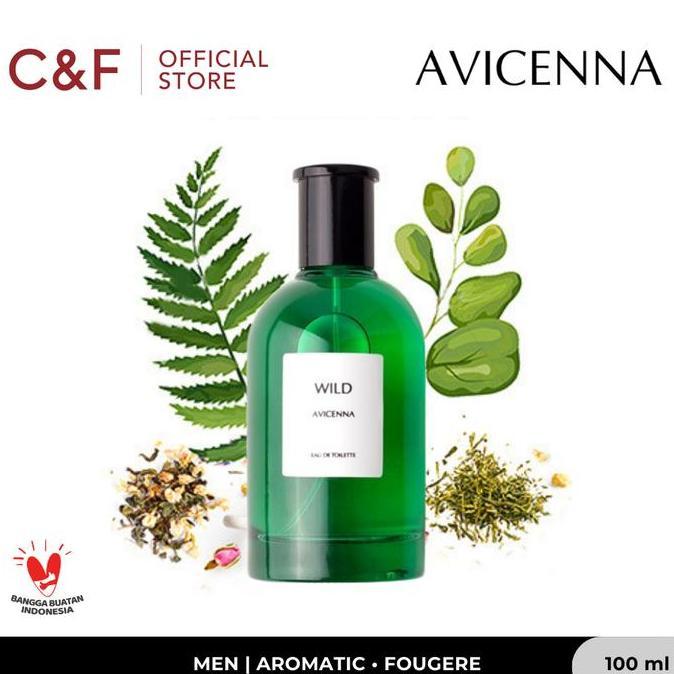 NEW AVICENNA WILD MEN  EDT 100 ML - PARFUM PRIA BEST