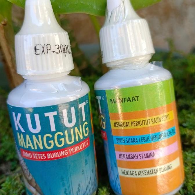 Tqs Kutut Manggung Jamu Tetes Perkutut Gacor
