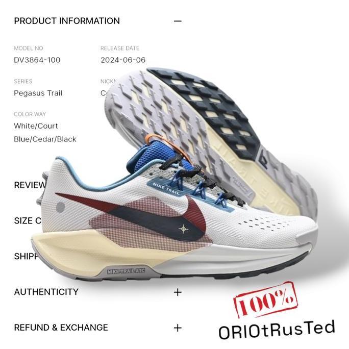 Nike Air Zoom Pegasus 39 Hola Lou