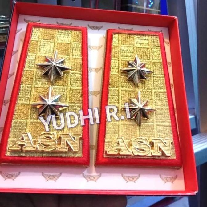 Pangkat ASN Sumatera Selatan Palembang Gol.4D