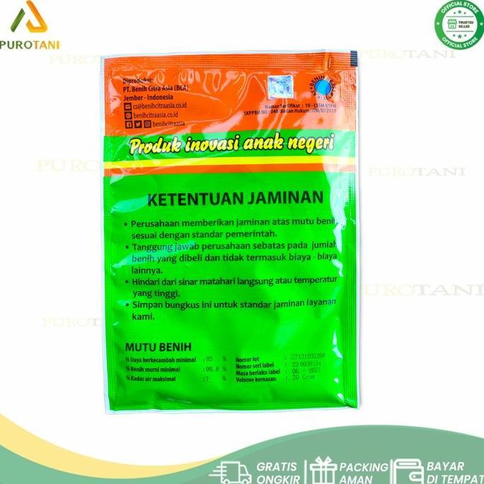 Bibit Mentimun F 1 Benih Timun Semi F1 Bintang Asia 900 Butir 20Gr