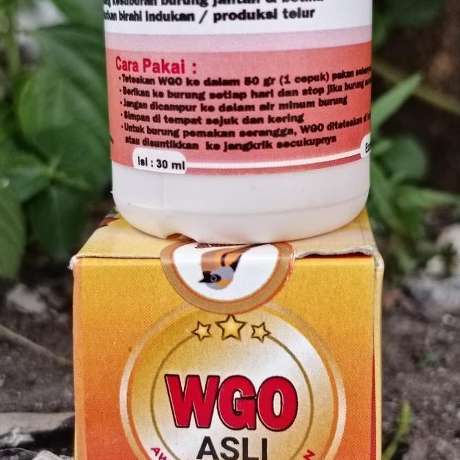 Tqs Wgo Wheat Germ Oil Vitamin Ternak Burung Love Bird Falk Macau Blackthroat Kenari