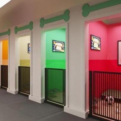 Kandang Anjing Custom Minimalis Pagar Besi Kandang Hewan Kucing Anjing