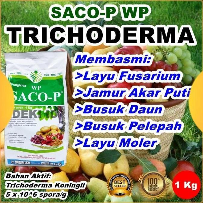 Tricoderma Koningii Saco P WP 1 Kg Fungisida Organik Trichoderma