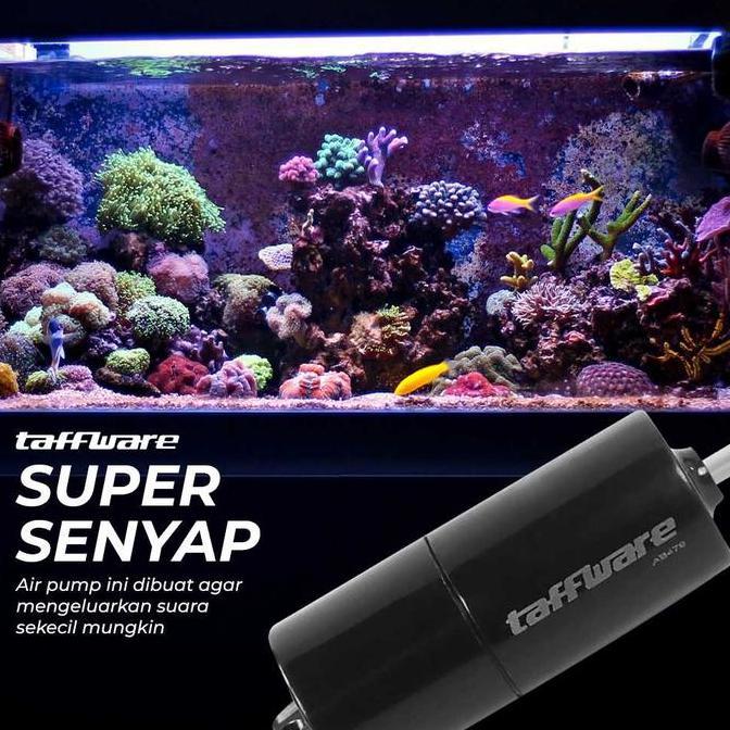 Fishbou- Taffware Aerator Usb Pompa Udara Akuarium Powerbank Aquarium Fish Tank Oxygenator Usb 1W - 
