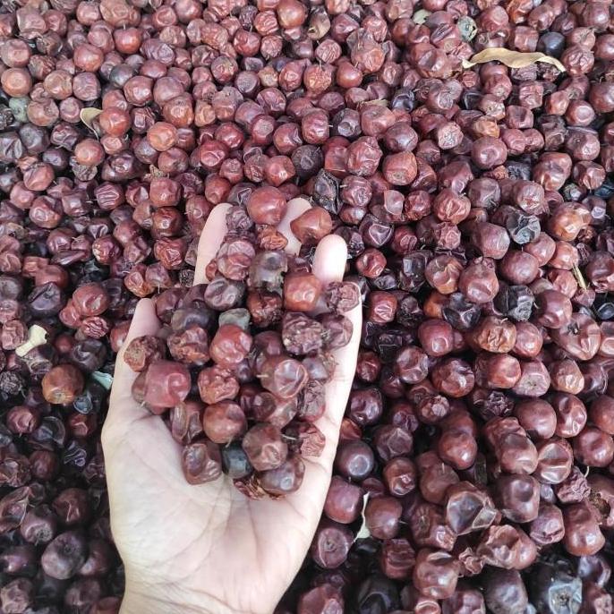 Buah Bidara Arab S Kering Untuk Bibit TBBL21