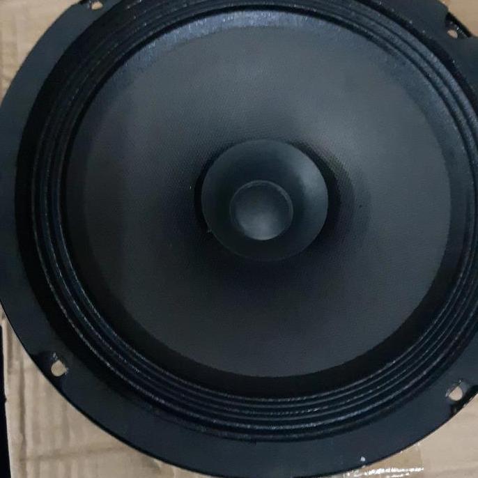 speaker 8 inch fulrange buar vokal