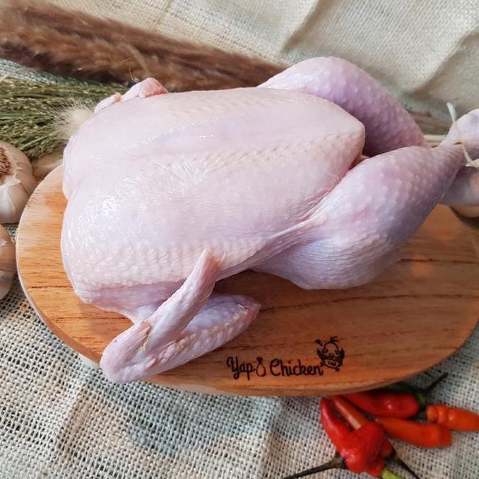 Rouge- Ayam Karkas Frozen 500Gr - 600Gr