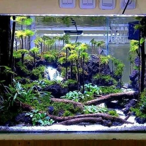 hardscape aquascape waterfall costum 40cm