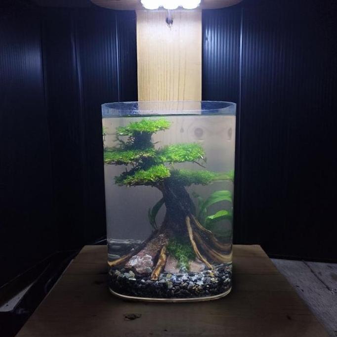 BM Aquascape Mini Soliter Fullset (Ukuran 10x10x15 cm) dengan Lampu USB