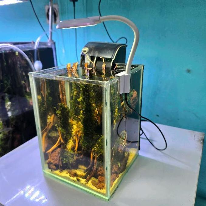 Aquarium aquascape mini cupang full set atau hardscape bisa pilih di varian, cocok untuk di kantor ,