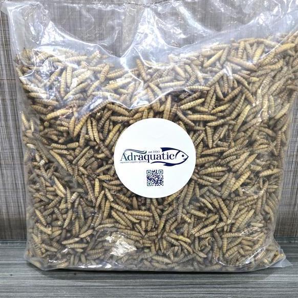 Blebeb- Maggot Kering 500Gr Larva Bsf Magot Pakan Ikan Koi Burung Ayam