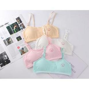 DB23 >> BRA546 Miniset Anak Remaja Miniset Katun Pakaian Dalam Anak Cewek Bra Remaja Bra Miniset Per