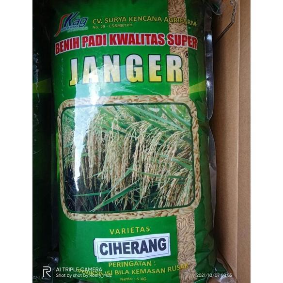 Bisa Cod Benih Padi Ciherang Janger Kemasan Repack 1Kg >>