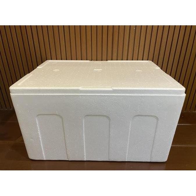 Instancodbisa- Styrofoam Box 60Kg 70 X 49 X 40Cm Box Foam