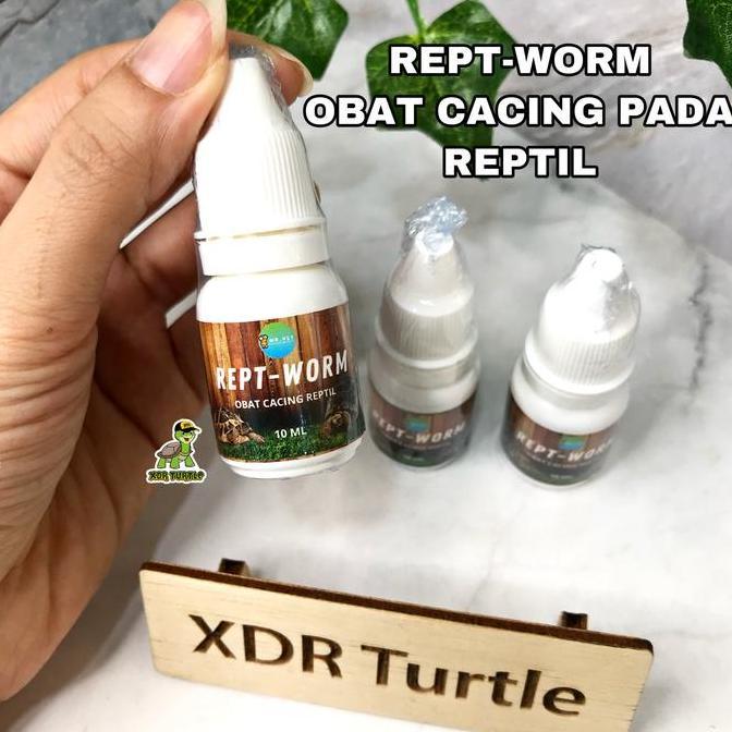 REPT-WORM OBAT CACING REPTIL KURA DARAT SULCATA FORSTENI PARDALIS