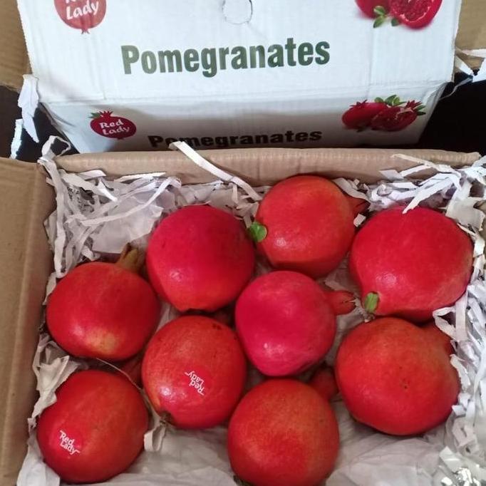 Frutexz- Buah Delima Merah Import Mesir Egypt Harga Pergardus Buah-Buahan Segar