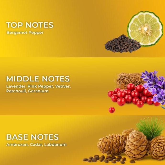 Powerfull- Dasfelix Summer Fighter - Extrait De Parfum - Parfum Pria Tahan Lama - Aroma Segar Citrus