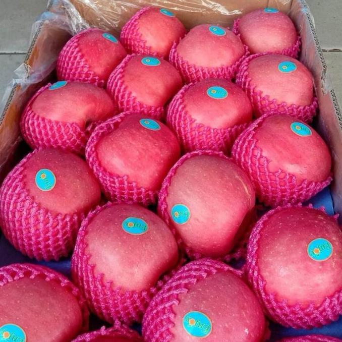 Frutexz- Apel Fuji | Apel | Apel Premium | Apel Fuji Premium - 1Kg