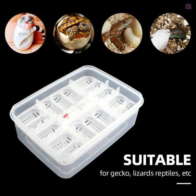 Terlaris 16 Reptile Egg Tray Tempat Telur Bd Gecko Kadal Incubator Box + Thermo