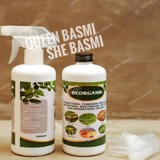 BEORGANIK OBAT HAMA TANAMAN, ULAT, KUTU PUTIH, SEMUT, HAMA DAUN