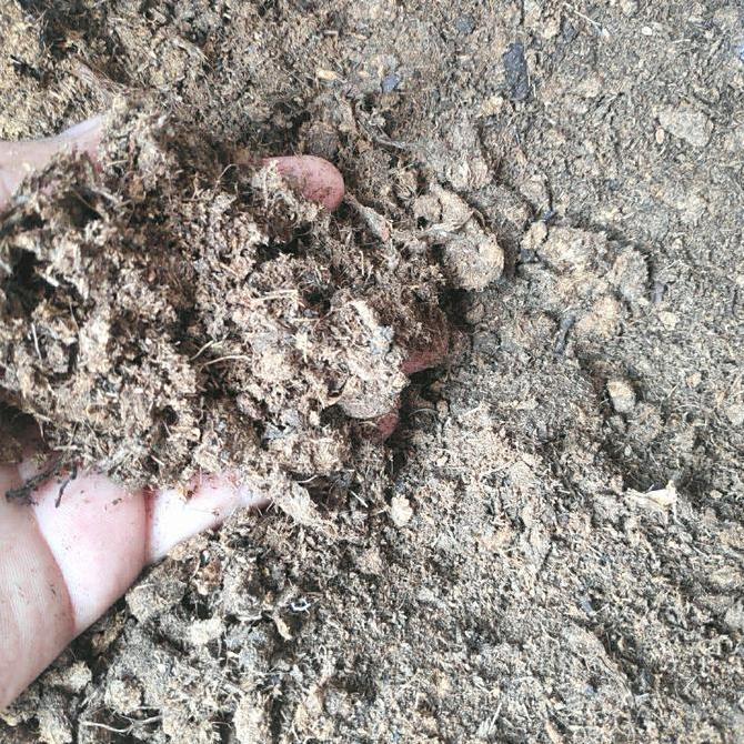 Sphagnum Peatmoss BS4(RAW)