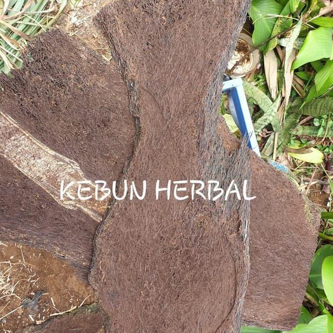 (PROMO) JUAL PAPAN PAKIS JUMBO UNTUK TANAMAN ANGGREK ATAU DEKORASI