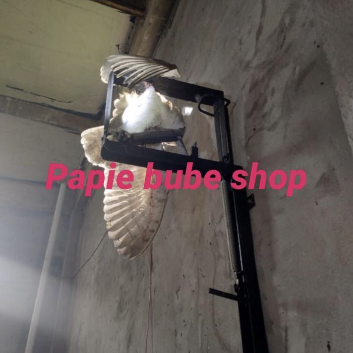 Jebakan Burung Hantu Rumah Walet Alat Tangkap Perangkap